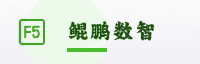 竞速联盟