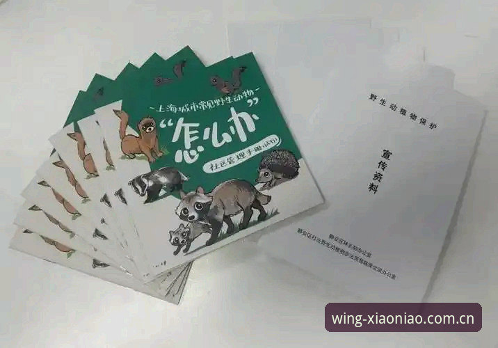 小鸟平台官方入口常见问题详解