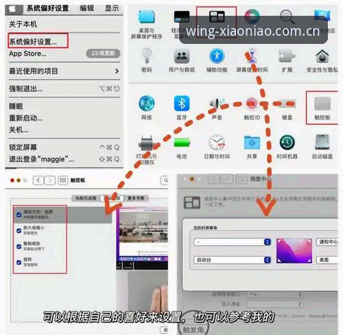 小鸟平台使用教程：如何通过官方渠道追踪托纳利与埃德松转会动态
