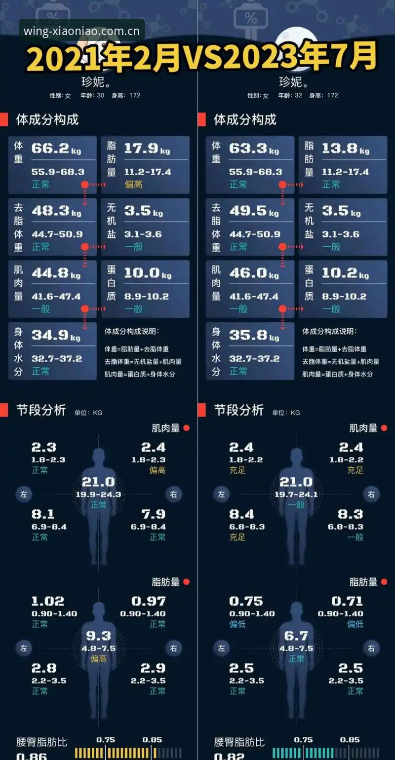 小鸟体育安全吗怎么样全面解析——深度分析背后的创新体验与实测数据
